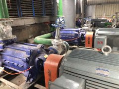 案例三(san)十六